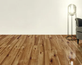 Professional House Cleaning